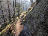 Stahovica - Kapela Marije Snežne (Velika planina)